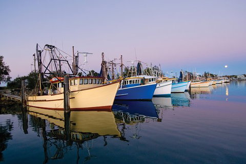 Clarence River Fishermen's Co-Operative - Holiday Sunshine Coast 0