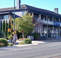 Coachwood  Cedar Motor Hotel Restaurant - Sunshine Coast Tourism