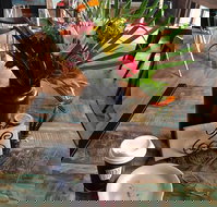 Dusty Beans Cafe - Sunshine Coast Tourism