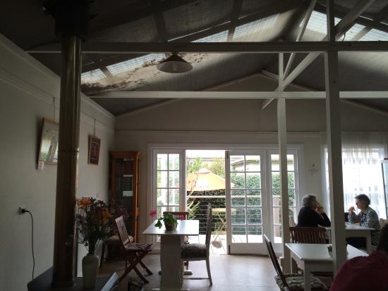 Dorrigo NSW Sunshine Coast Tourism