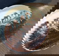 Gloria Jeans - Sunshine Coast Tourism