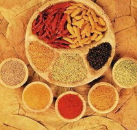 Tehzeeb Indian and Australian Restaurant - Holiday Sunshine Coast