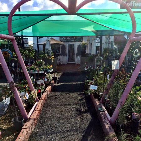 Curban NSW Sunshine Coast Tourism