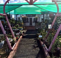 The Next Grind - Sunshine Coast Tourism