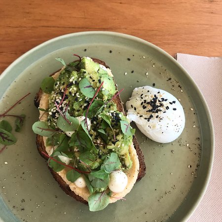 Tucker - Holiday Sunshine Coast 0