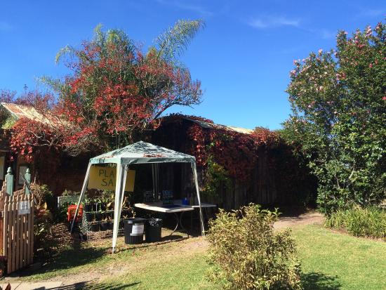 Bilpin NSW Sunshine Coast Tourism