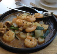 Bambusa - Sunshine Coast Tourism