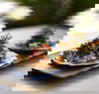 Morks - Sunshine Coast Tourism