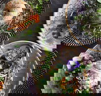 Niche  Co. - Sunshine Coast Tourism