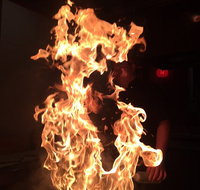 Shin Sen Teppanyaki Restaurant - Holiday Sunshine Coast