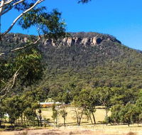 The Lolly Bug - Sunshine Coast Tourism