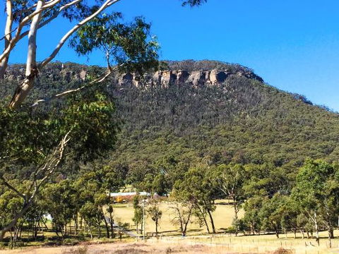 The Lolly Bug - Sunshine Coast Tourism 0