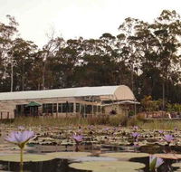 Abundance Cafe and Garden Centre - Sunshine Coast Tourism