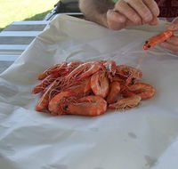 Ballina Fishermen's Co-op - Sunshine Coast Tourism