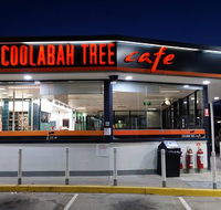 Coolabah Tree Cafe - Sunshine Coast Tourism