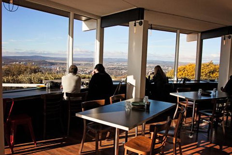 Little Brother @ Red Hill - Sunshine Coast Tourism 0