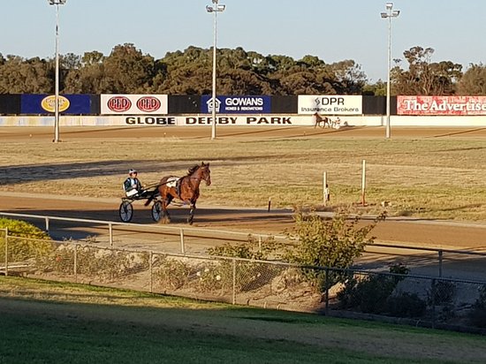  Sunshine Coast Tourism