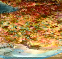 Al Pesto - Sunshine Coast Tourism