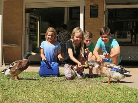 Arkarra Gardens Cafe And Restaurant - Holiday Sunshine Coast 2