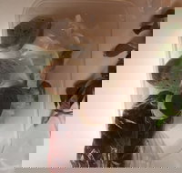 Dai Nam Cafe  Restaurant - Sunshine Coast Tourism