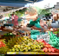 Newrybar Farmers Market - Sunshine Coast Tourism