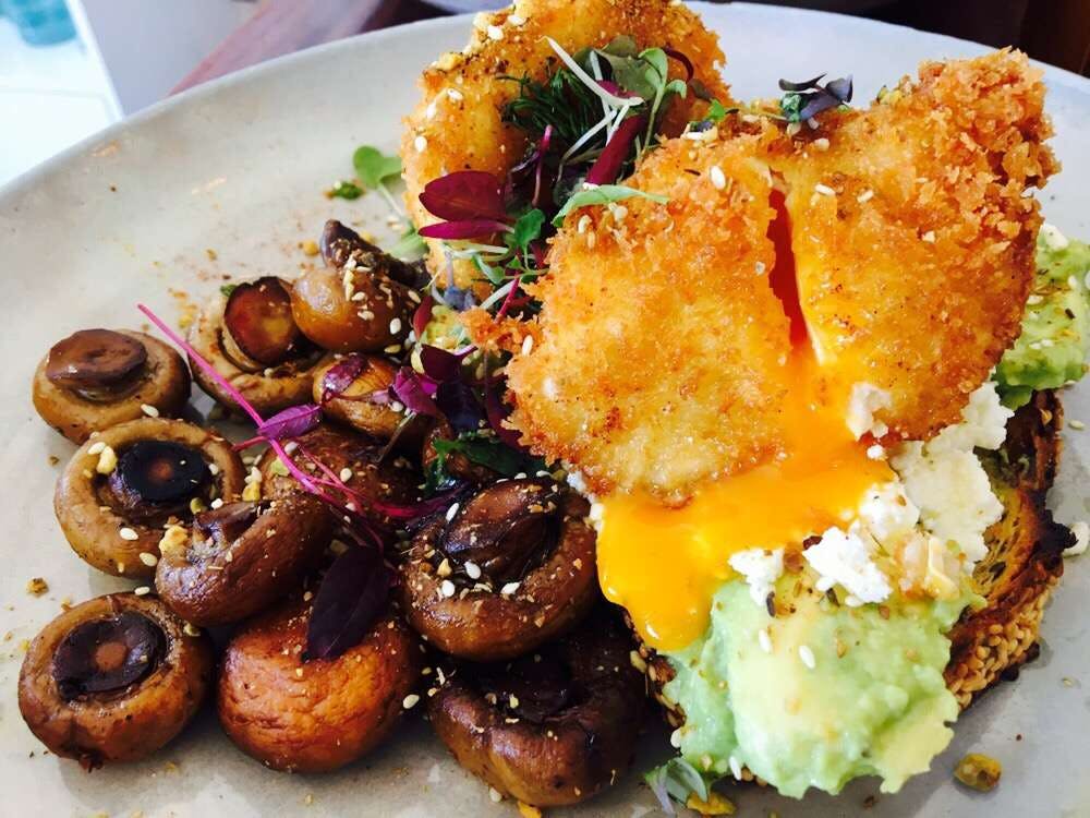  Sunshine Coast Tourism