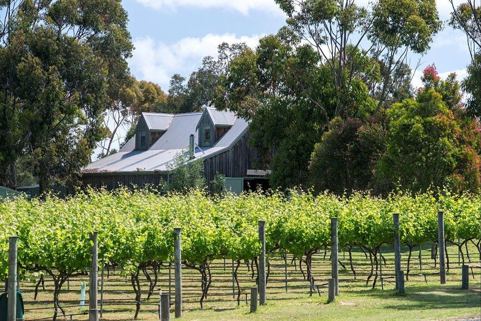  Sunshine Coast Tourism