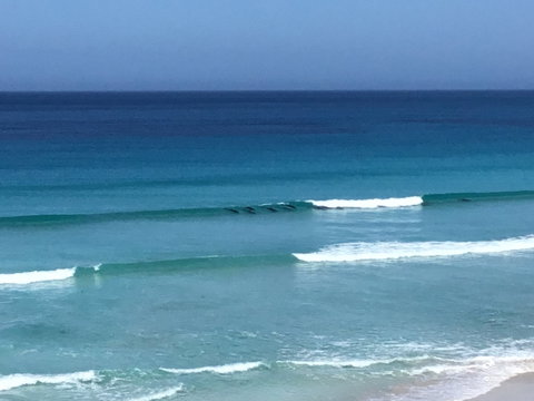 Beach Barista - Sunshine Coast Tourism 1