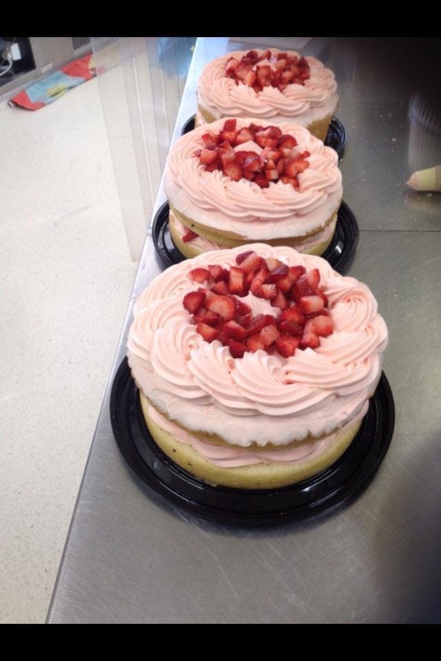 Welsby QLD Sunshine Coast Tourism