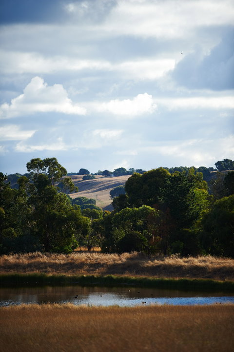 Brae - Sunshine Coast Tourism 1