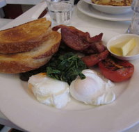 Chicken and Fishhead - Holiday Sunshine Coast