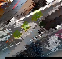 Coffee Plus of Ivanhoe - Sunshine Coast Tourism