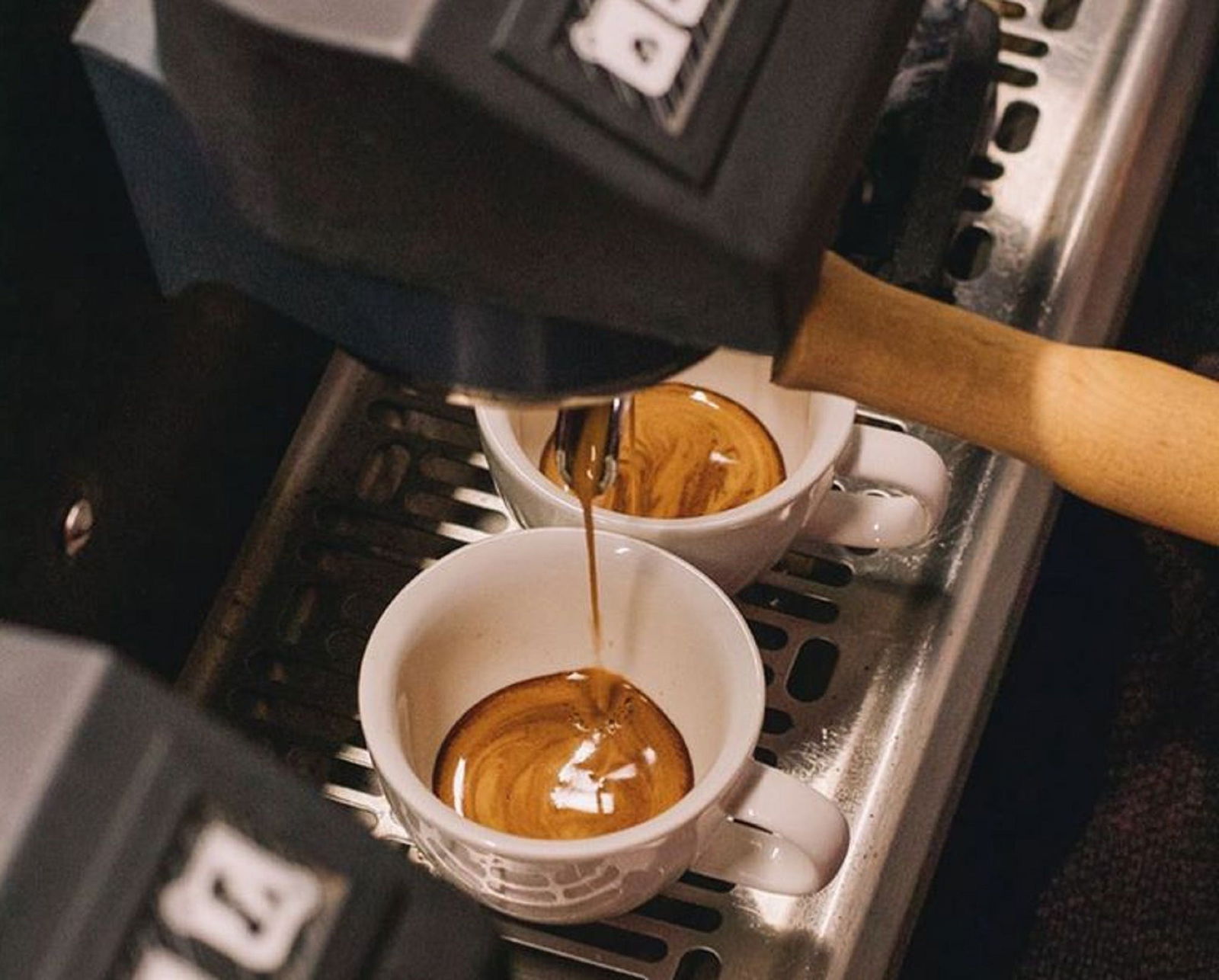  Sunshine Coast Tourism