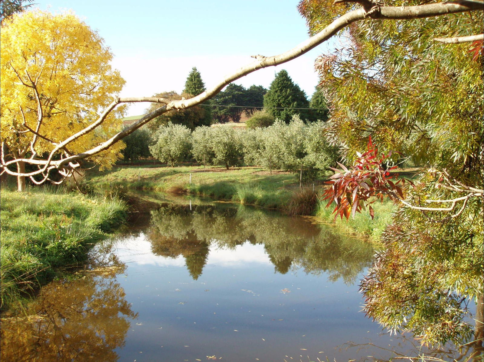 Abbotsham TAS Holiday Sunshine Coast