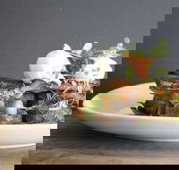 Daark Espresso Bar - Sunshine Coast Tourism