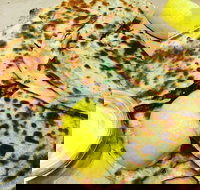 Gozleme King - Macquarie Park - Sunshine Coast Tourism