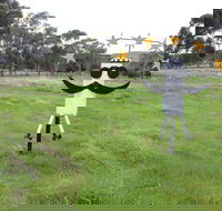 Heard it on the Grapevine - Sunshine Coast Tourism