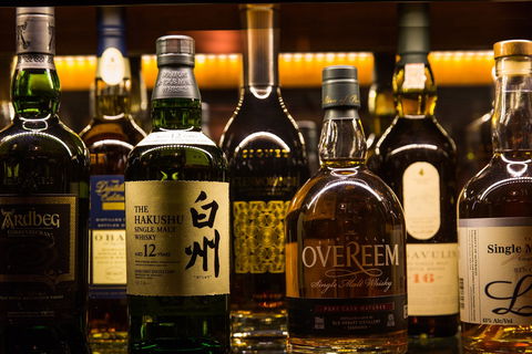 Molly - Sunshine Coast Tourism 1