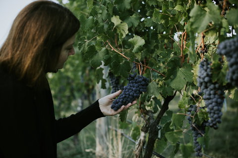 Rowlee Vine To Table Experience - Sunshine Coast Tourism 0