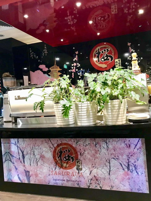 Sakuraya - Eight Mile Plains - Holiday Sunshine Coast 0