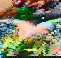 Salad Bar - Surry Hills - Sunshine Coast Tourism