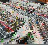 Scotty's Bakehouse - Sunshine Coast Tourism