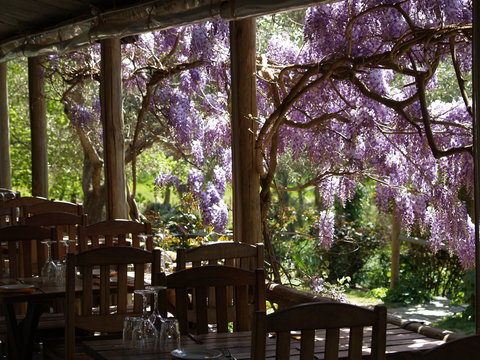 Skillogalee Winery & Restaurant - Sunshine Coast Tourism 2