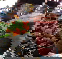 The Cheesecake Shop - North Geelong - Sunshine Coast Tourism