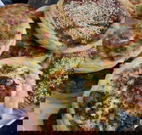 The Re Store Northbridge - Sunshine Coast Tourism