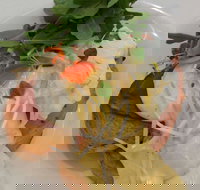 Vida Espresso - Sunshine Coast Tourism