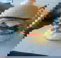 Wombat Cafe  Store - Sunshine Coast Tourism