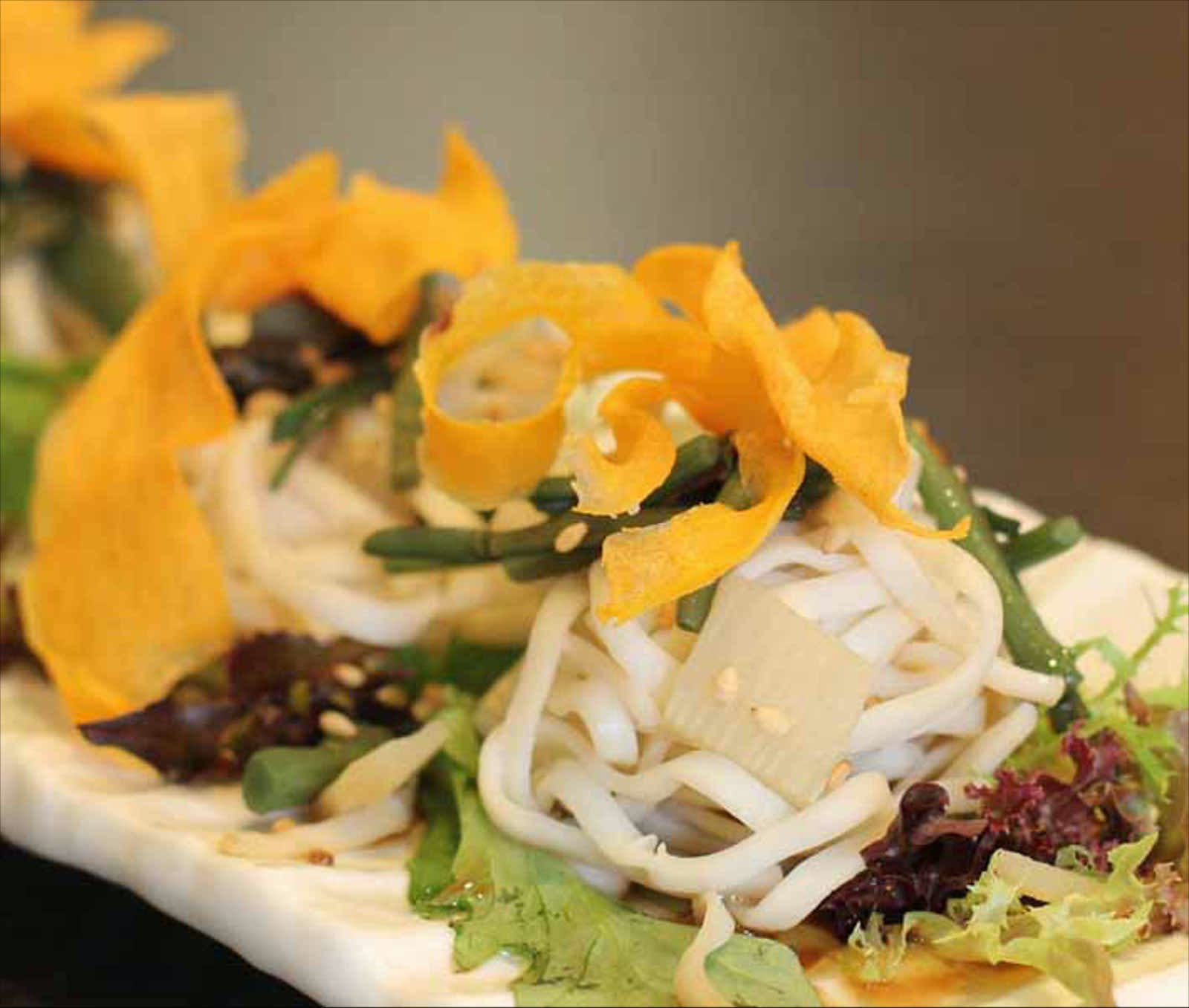 Elsternwick VIC Sunshine Coast Tourism