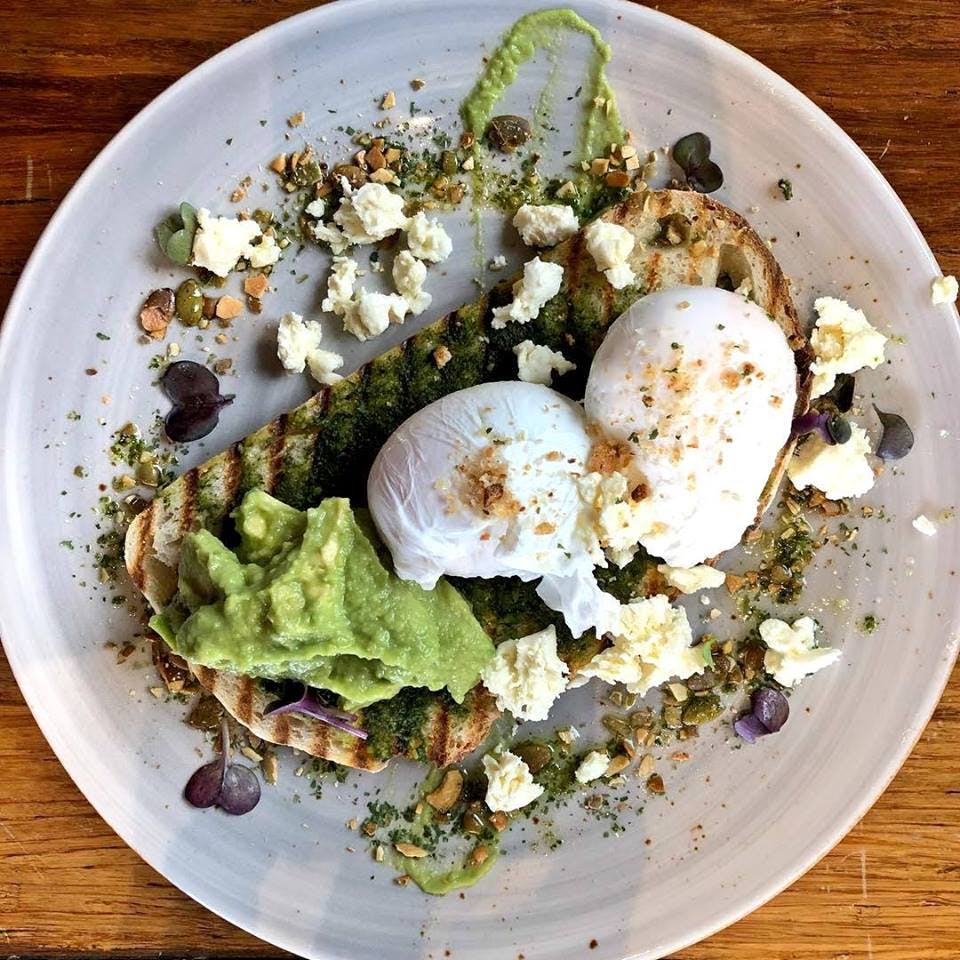 Newington NSW Sunshine Coast Tourism