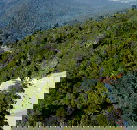 Canopy Cafe - Sunshine Coast Tourism